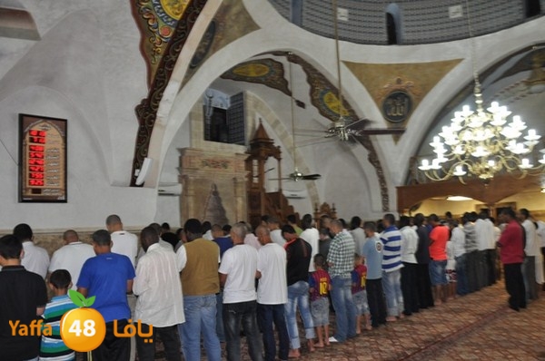 trawe7 mahmodiya 713 (13).JPG